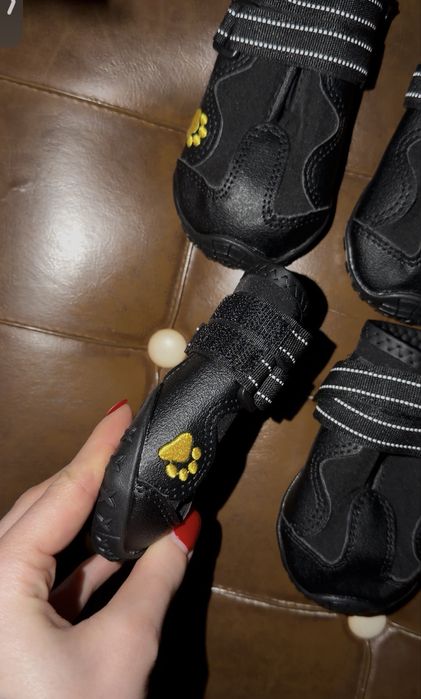 водонепроникне взуття для собак