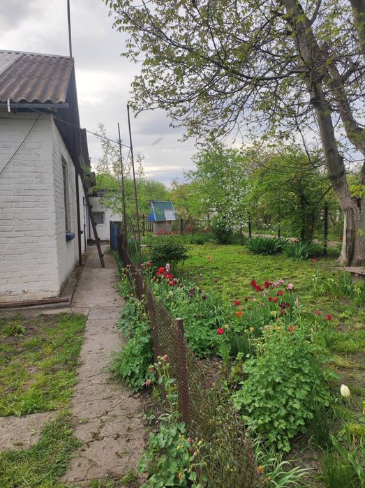 Продаж будинку з господарськими будівлями