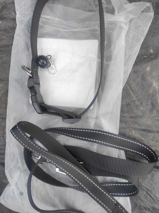 Комплект для вигулу пса