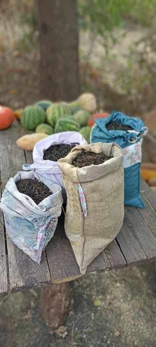 Іван чай ,Копорський чай ,Иван - чай саженцы