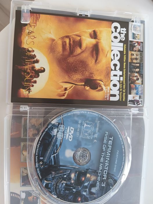 Terminator 3, DVD, polska wersja językowa