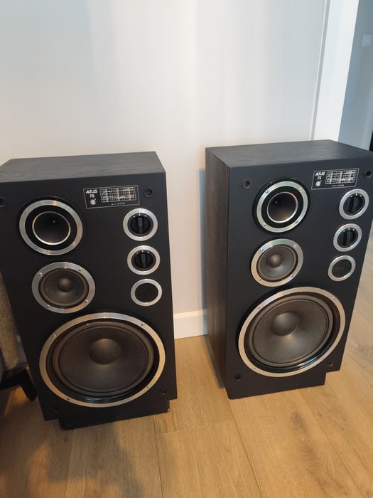 Kolumny  Altusy 75 po regeneracji.