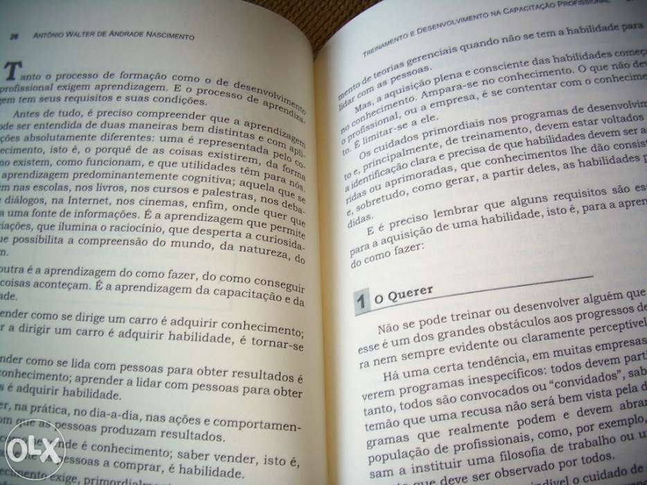 Erros, acertos e soluções/ treinamento e desenvolvimento profissional