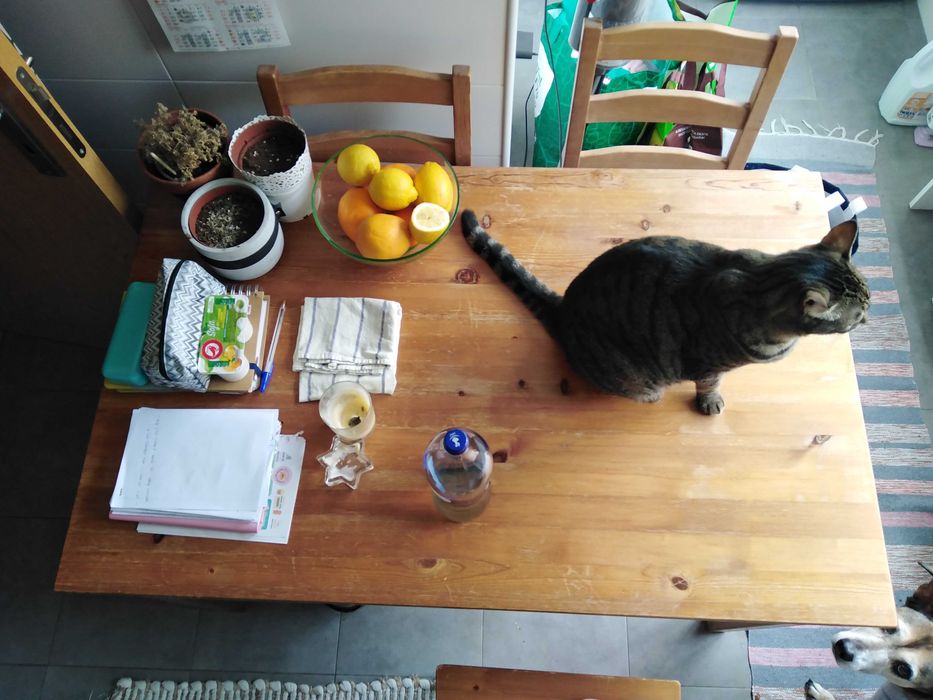 1 Mesa refeição e 4 cadeiras com almofadas