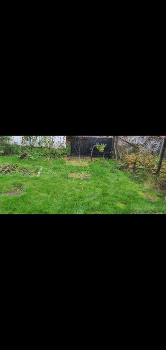 Ogródek ROD Malwa Bytom ul. Strzelców Bytom. 50. Doskonała lokalizacja