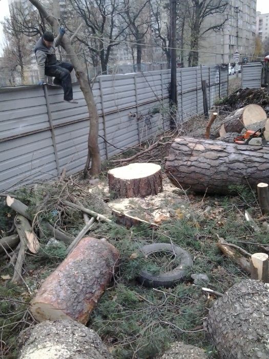 Зрізання Видалення дерев Чищення ділянок Демонтажні Земляні роботи.