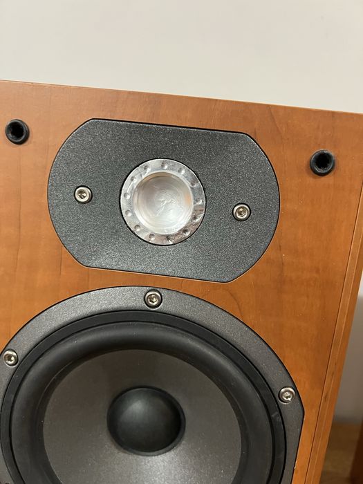 Focal Chorus 705 S + масивні дубові стійки комплект
