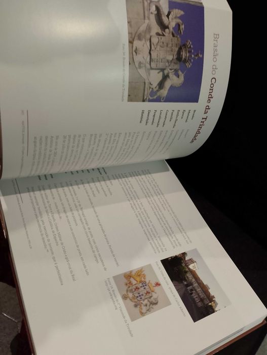 Brasões e Pedras de Armas da Cidade do Porto - Manuel Cunha