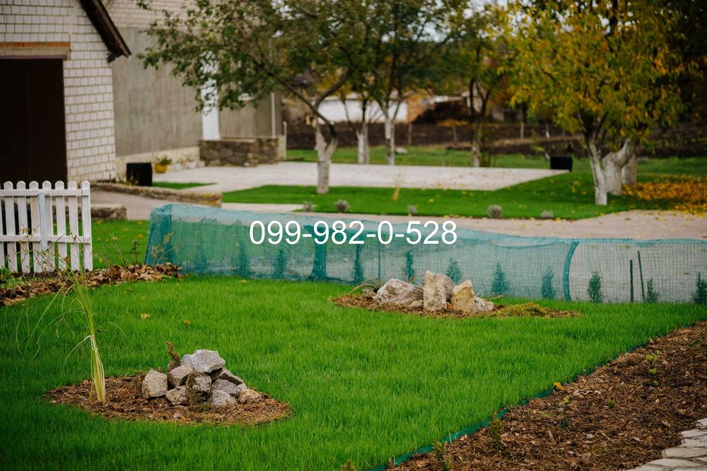 Витривалий газон ВДАЧА для дачі насіння Універсальної газонної трави