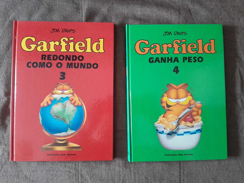 Garfield (Dom Quixote)