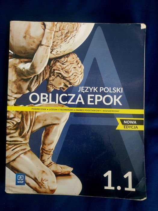 Język polski klasa 1 WSIP