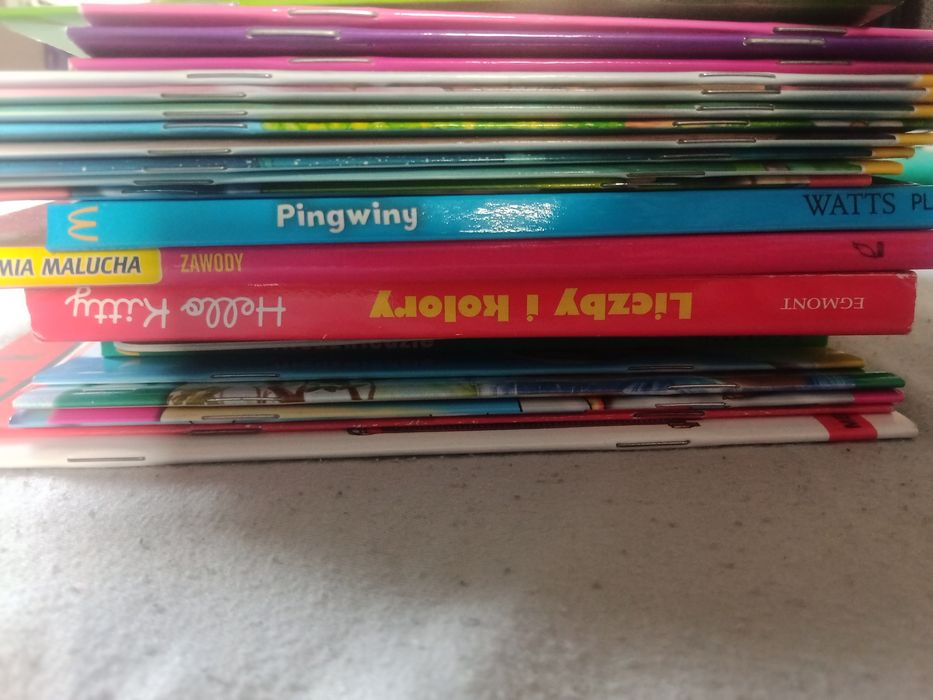 Książki dla najmłodszych 23 szt  dzieci