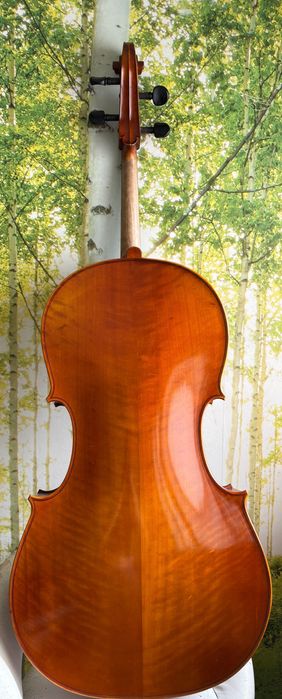 Violoncelo 4/4 seminovo