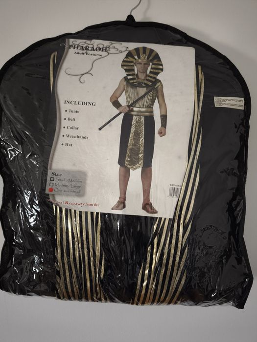 Disfarce de carnaval Egipcio