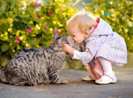 Перетримка.Догляд