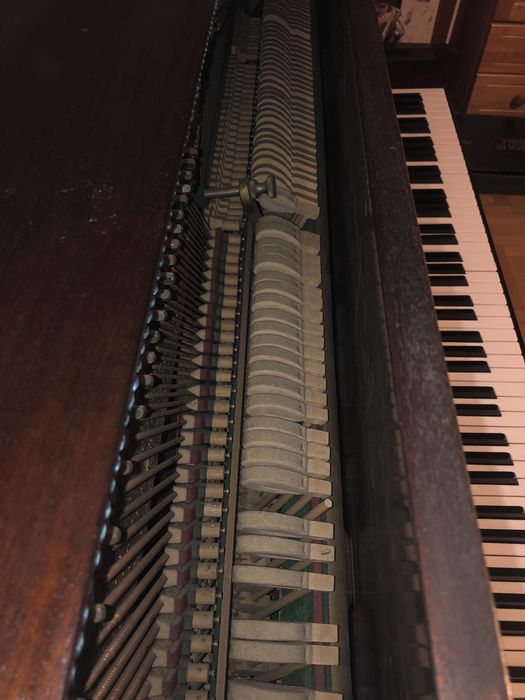 Pianino Calisia 1972 metalowa płyta  Bielsko-Biała