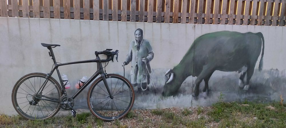 Karbonowy Trek Emonda SL 5 rozm. 62