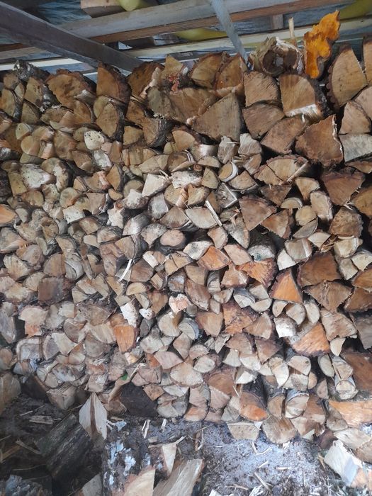 Drewno opałoe Brzoza grab