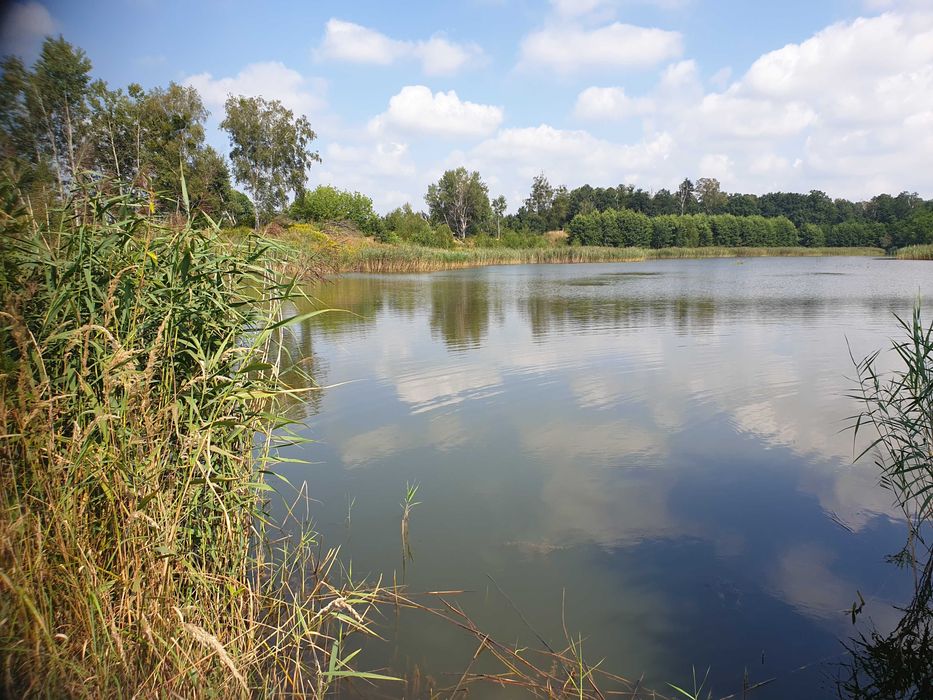 PTAKOWICE  usługi sportu
