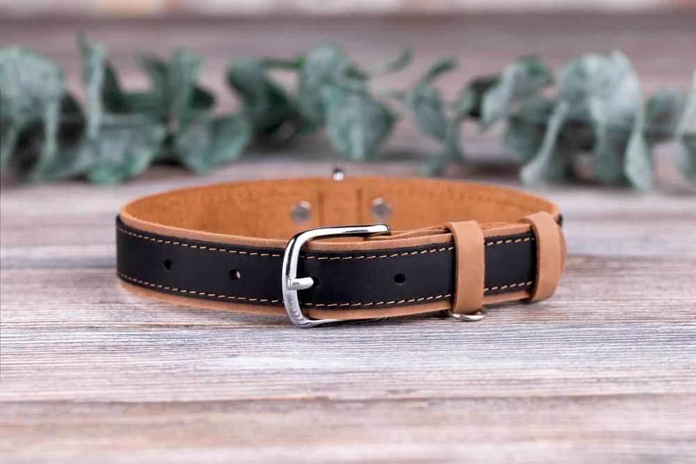 Ошейник Для Собаки с Гравировкой Крепкий Шкіряний Для Котів Дві Шкіри