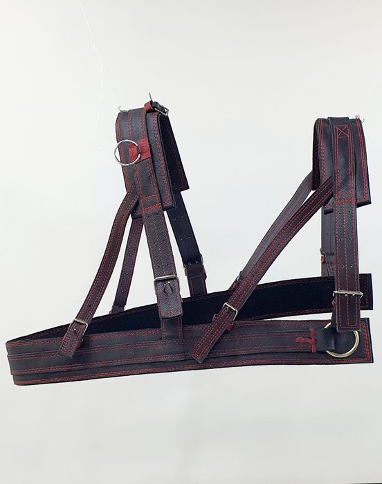 Кінна амуніція. Шлея європейка шкіряна на коня. Великий вибір упряжі