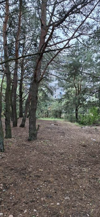 Продам земельну ділянку  біля соснового лісу та озера 3 занасип