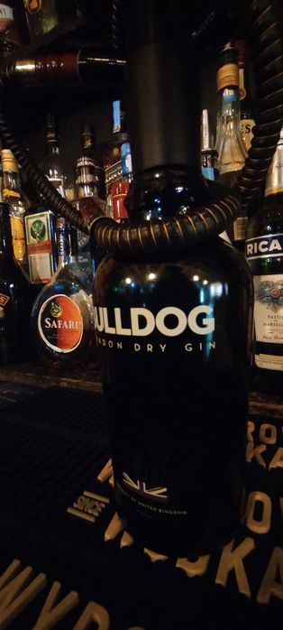 Shisha hookah Bulldog