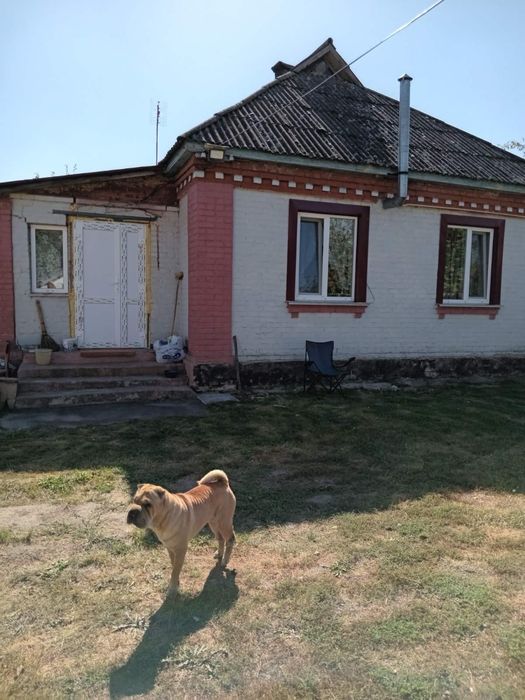 Будинок на продаж 3-кімнатний, газове опалення, меблі та техніка!