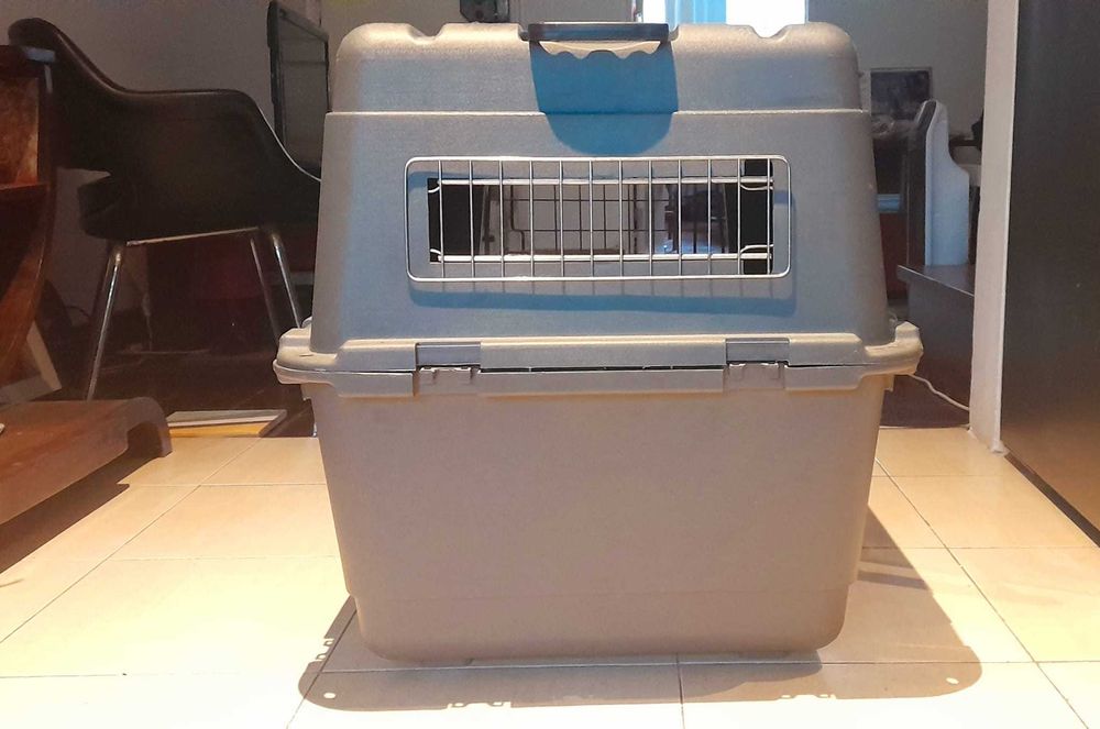 transportadora para cão (60x80x55cm)