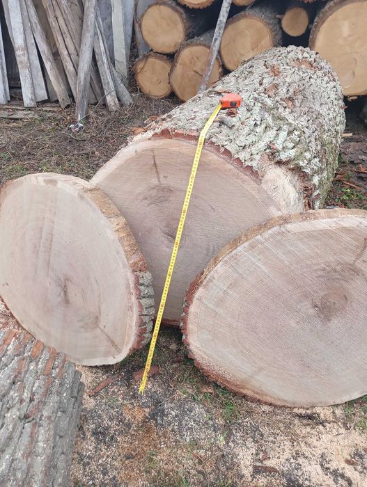 Plastry drewna dębowego