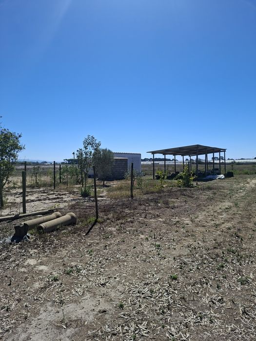 Terreno rústico com 1,5 hectares