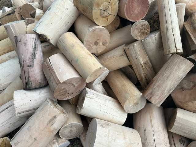 Wałki , palisady, kołki liściaste