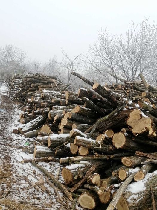 Продам дрова метровка та пиляні