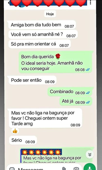 Limpeza Profissional