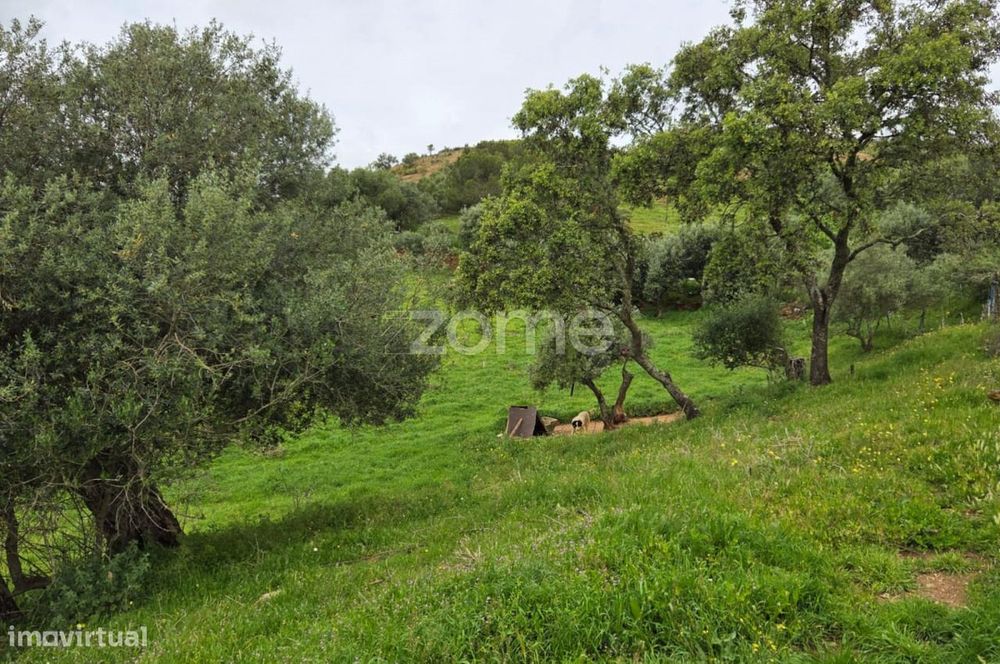 Terreno Rústico - Cultura Arvense