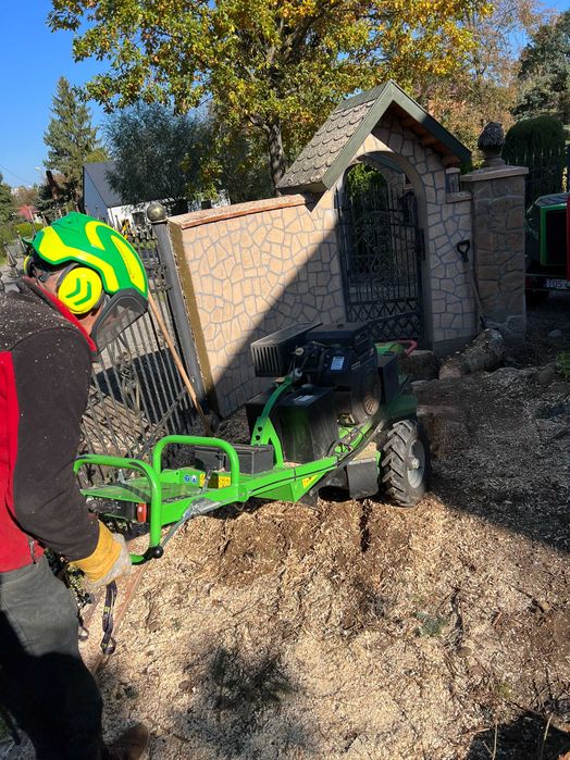 Usuwanie pniaków, frezowanie pni drzew Piotrków Trybunalski