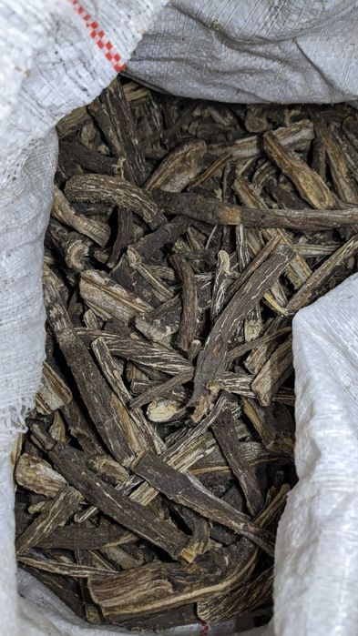 2025 року збір  !! Корінь лопуха та інші