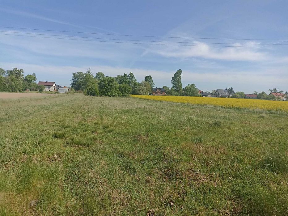 Działka 7000m2 Budowlana przemysłowa SIEDLISKO Łagów gm, przyłęk