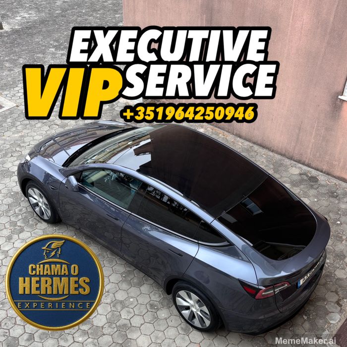 Motorista Serviço ViP Executivo