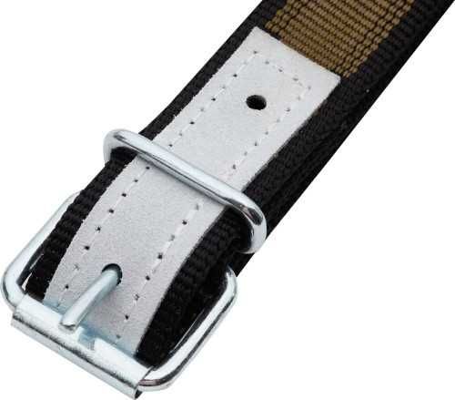 Kantar dla bydła Profi, zielony, z okuciami