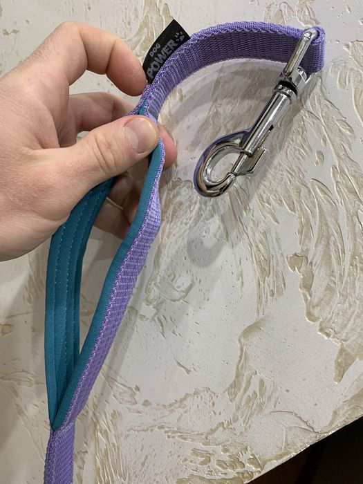 Ошейник и поводок в комплекте