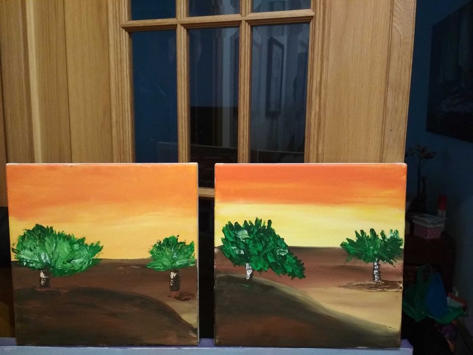 Dois quadros como novos