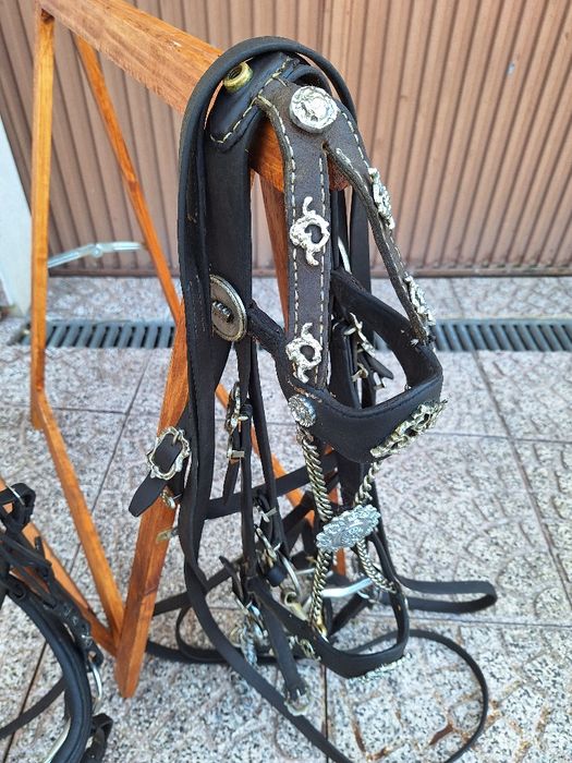 Cabeçada à portuguesa + inglesa