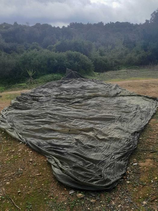 Paraquedas parachute