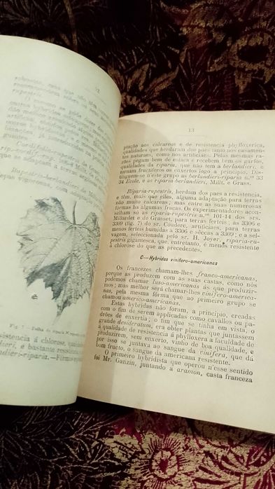 Viticultura Pratica Portugueza 1907 M. Rodrigues de Moraes