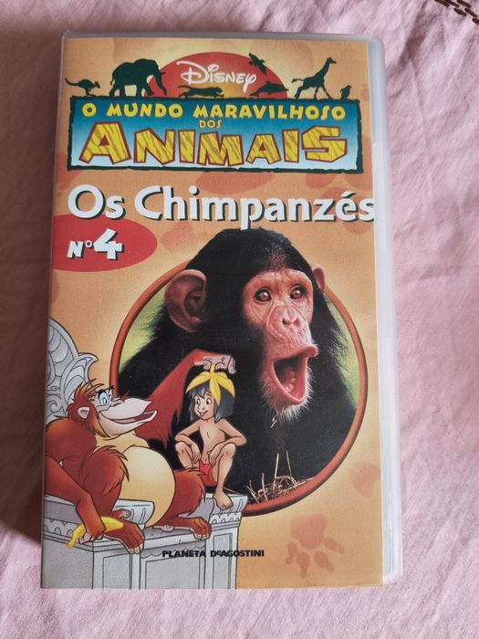 Coleção de livros sobre animais da Walt Disney