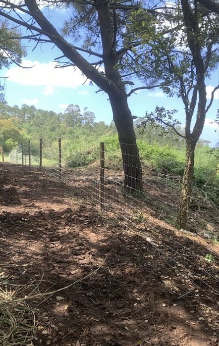 Vedacao de propriedade