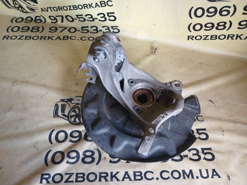 Цапфа/поворотный кулак Volkswagen Tiguan 2019 передние передние левая