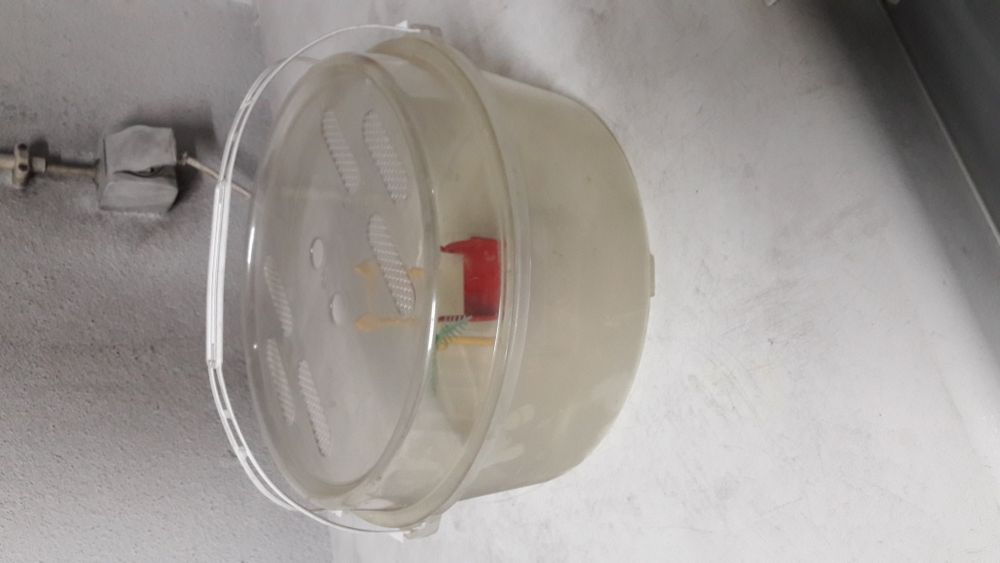 Vendo gaiola para tartaruga