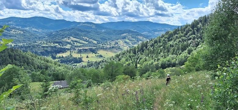Продаж земельної ділянки з будинком в горах..